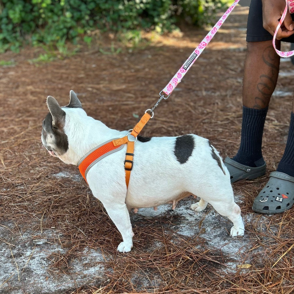 Untitled design (96)