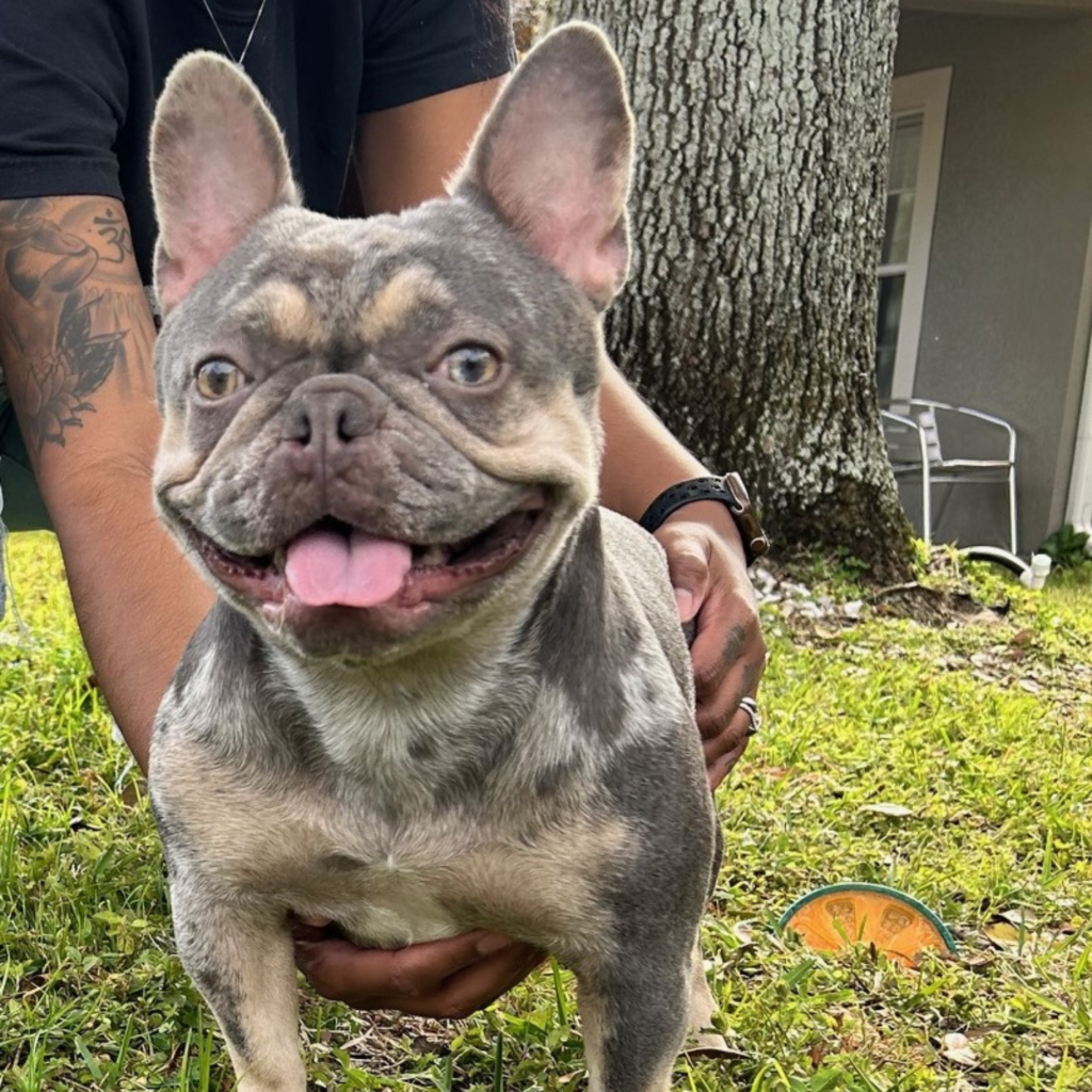 Untitled design (97)