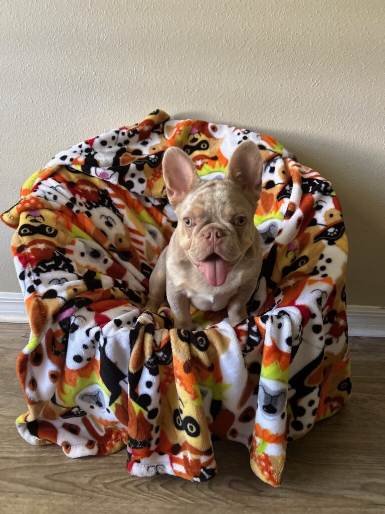 Big Poppa at 5 months